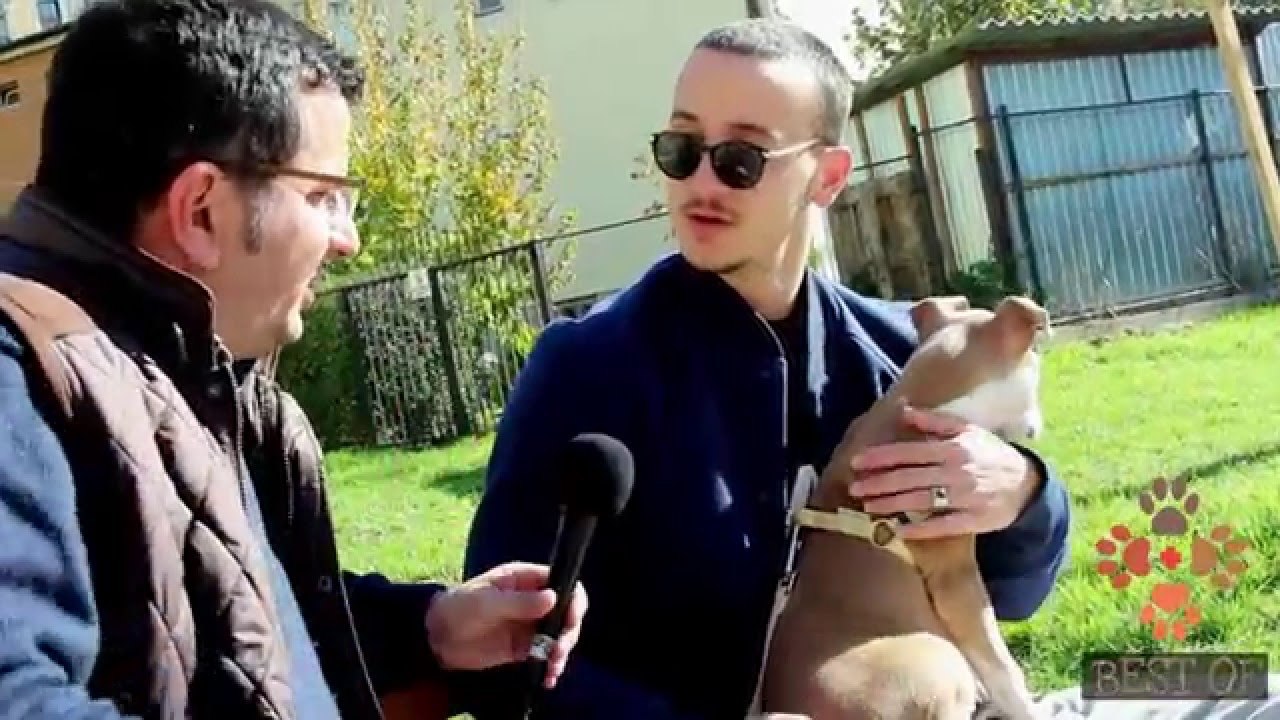 Fisi Faunes - Sezoni 3 / Episodi 20