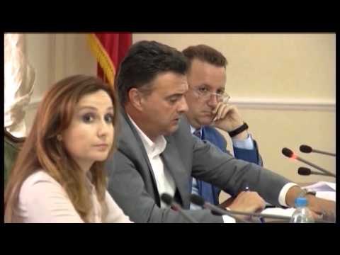 MBULIM EKSPERTET PER REFORMEN NE DREJTESI