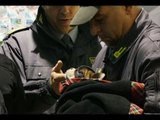 Rimini - Sequestrati 12 cuccioli provenienti dall'Est Europa (23.12.15)