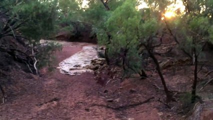 Pour la première fois de sa vie il voit de l'eau dans cette rivière à sec. Réaction magique