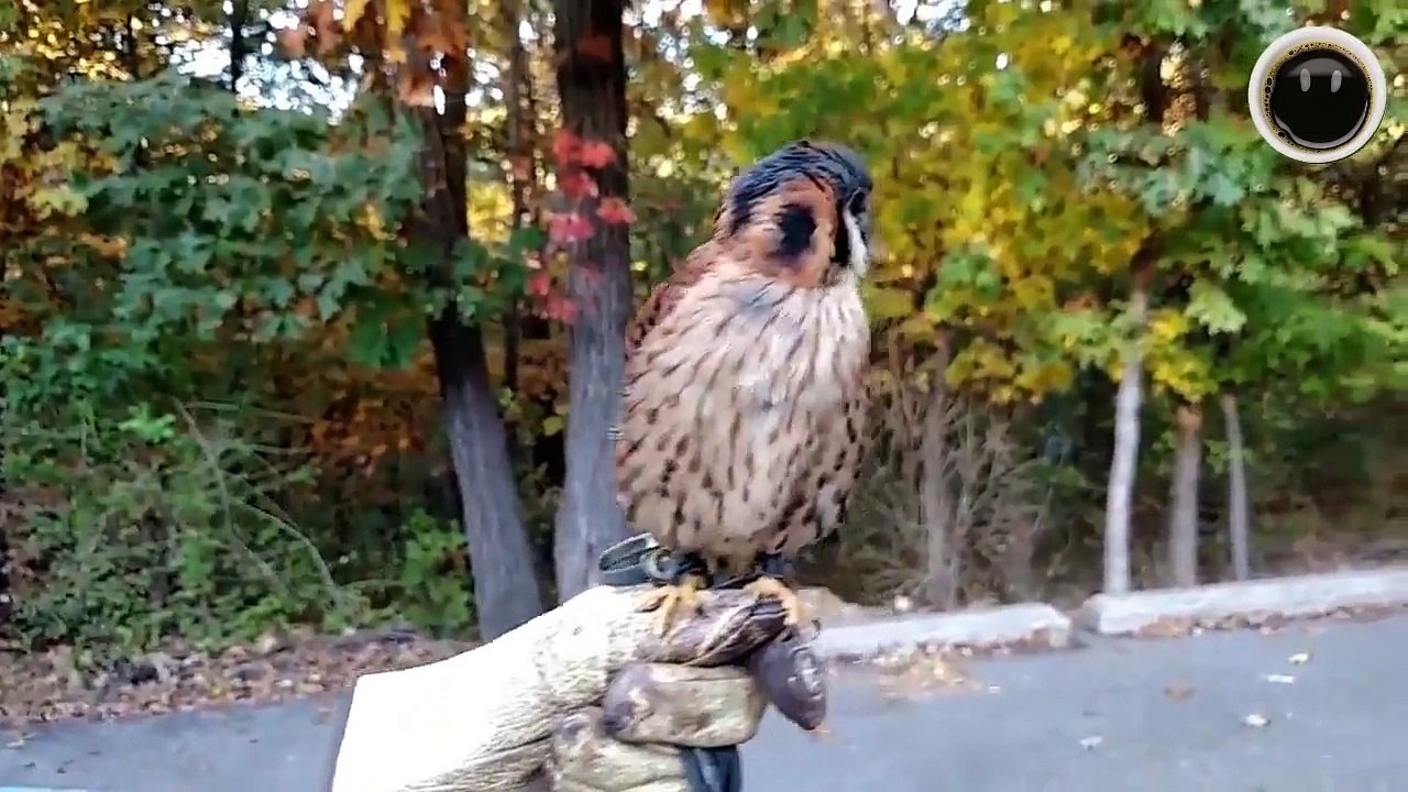 The BEST VIDEOs || People Smile #175 :)