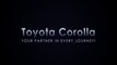 Toyota Corolla Picture Contest