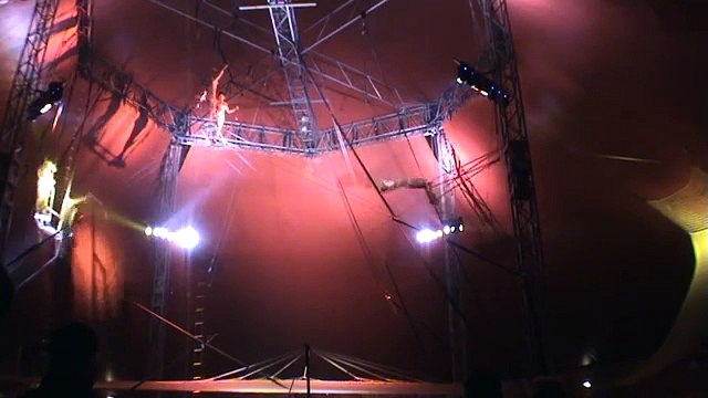 The Flying Trapeze, # 1248 , represented by Stefani Art Agency