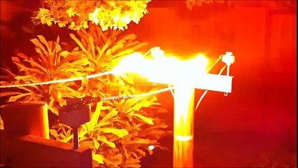 13.8kV Hatta Dal Parçası Düşerse.. Yok Böyle Bir Şey