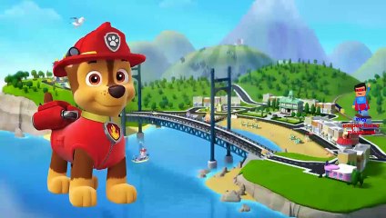 Paw Patrol Finger Family Songs, Nick Jr. - Daddy Finger Nursery Rhymes Collection 30 minut