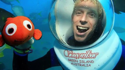 Dünyanın En İyi 7 Mesleği (En Acayip Videolar)