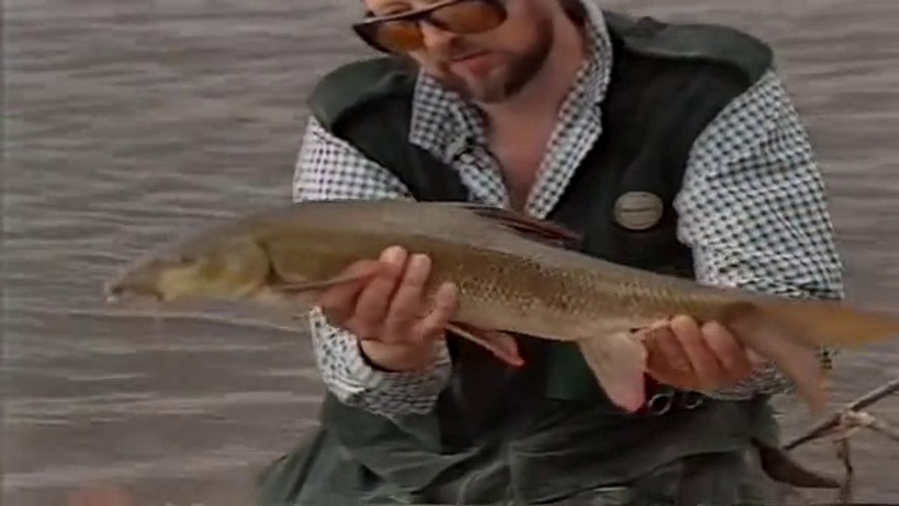 Go Fishing with John Wilson - Down on the Avon