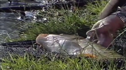 Go Fishing with John Wilson - Fishing for Carp