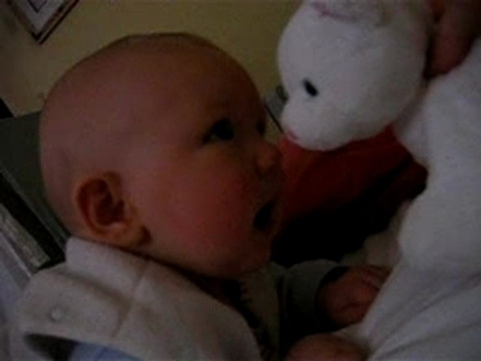 simon et son petit chat blanc