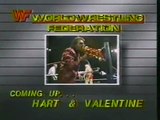 Greg Valentine vs Salvatore Bellomo   Championship Wrestling July 27th, 1985