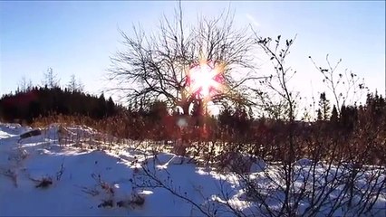 New Snow by Richard & Lesley