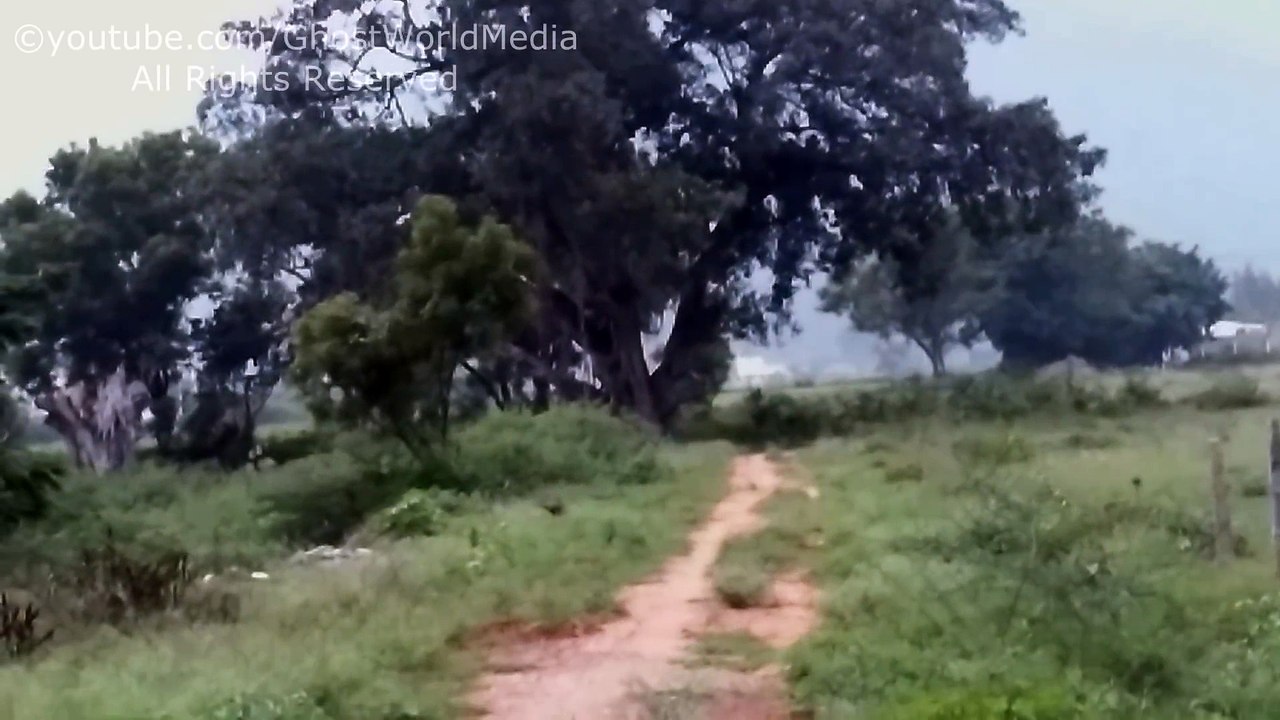 Real Ghost Caught Near Peacock   Real Footage   Ghostworldmedia