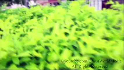 Real Ghost Caught On Cam In Park Near Little Girl