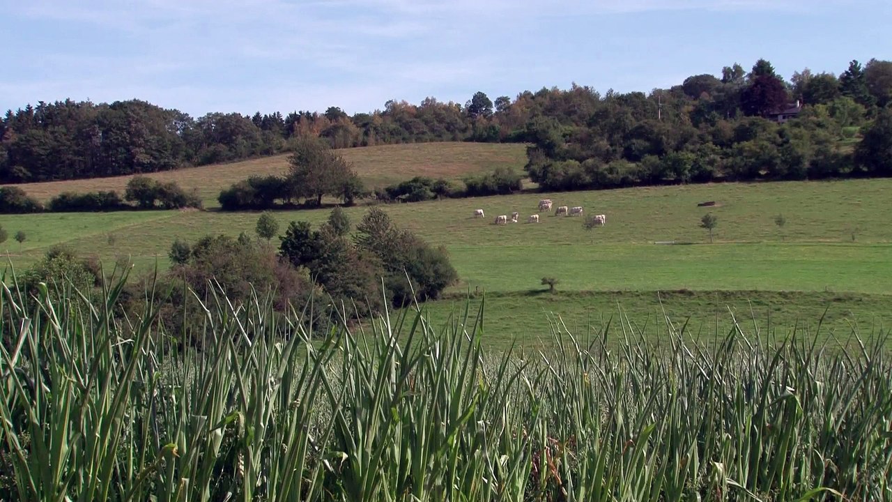 VIVRE AU PAYS A TOUT PRIX