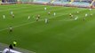 Josip Ilicic Goal - Palermo vs Fiorentina 0-1 (Serie A 2015)