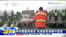 20160103中天新聞　陝西霧霾視線差　高速路車禍豬仔竄逃