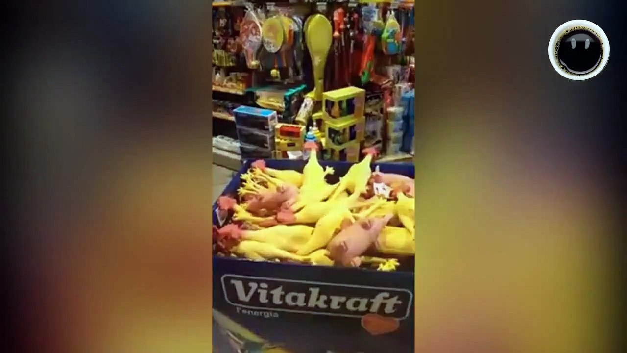 The BEST VIDEOs || People Smile #124 :)