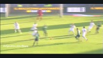 Grégoire Defrel Goal  - Sassuolo 1-1 Frosinone - 06-01-2016