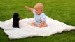 Smile Bomb: Baby & Cute Puppy Play Funny Animals Americas Funniest Viral Videos