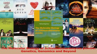 PDF Download  The Molecular Biology of Schizosaccharomyces pombe Genetics Genomics and Beyond Download Full Ebook