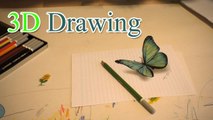 3D Drawing of butterfly /Anamorph speed painting