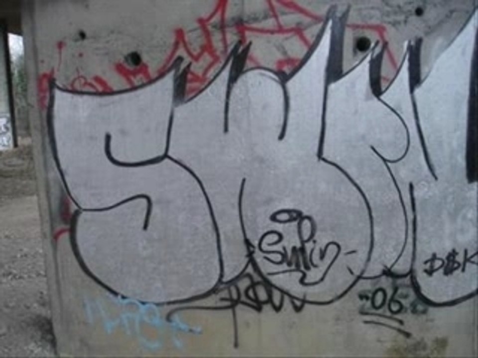 Swin
