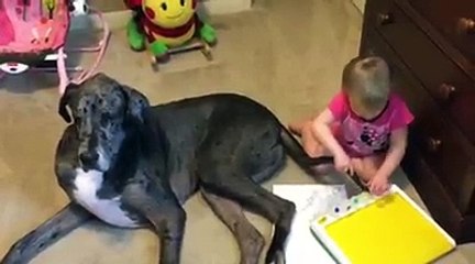 Baby girl having fun with dog's tail