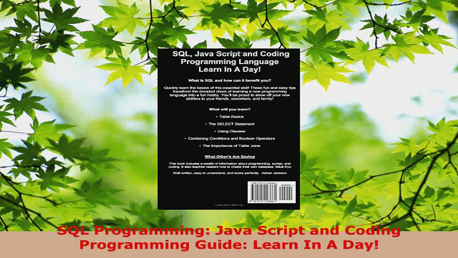 Read  SQL Programming Java Script and Coding Programming Guide Learn In A Day PDF Free