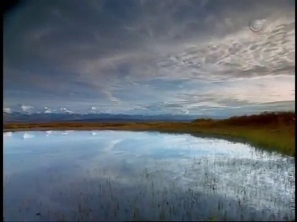 Music Therapy for Pregnancy - Reduces Stress in Pregnant Women in English