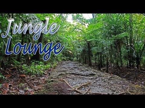 Music For Yoga - Jungle Lounge Sound Music For Relaxation, Meditation, Stress Relief