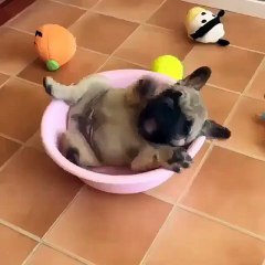 Monday mornings be like