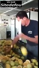 Il coupe des citrons comme un ninja