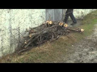 VRASJA E FQINJIT PER NJE PLEP