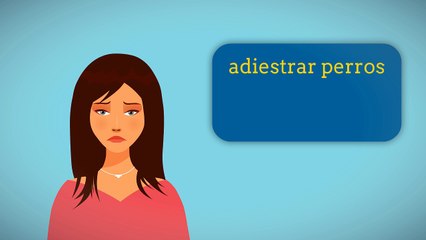 consejos para adiestrar perros