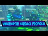 Amazing Underwater Marriage Proposal - Weird Video