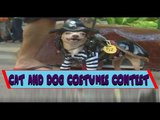 Funniest Cat and Dog Costumes Compilation Ever Seen