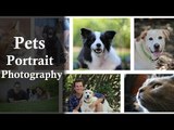 Amazing Pets Portrait Photography