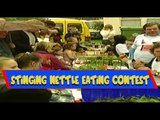World Stinging Nettle Eating Competition
