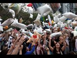 Massive Pass Pillow Fight - Watch Video