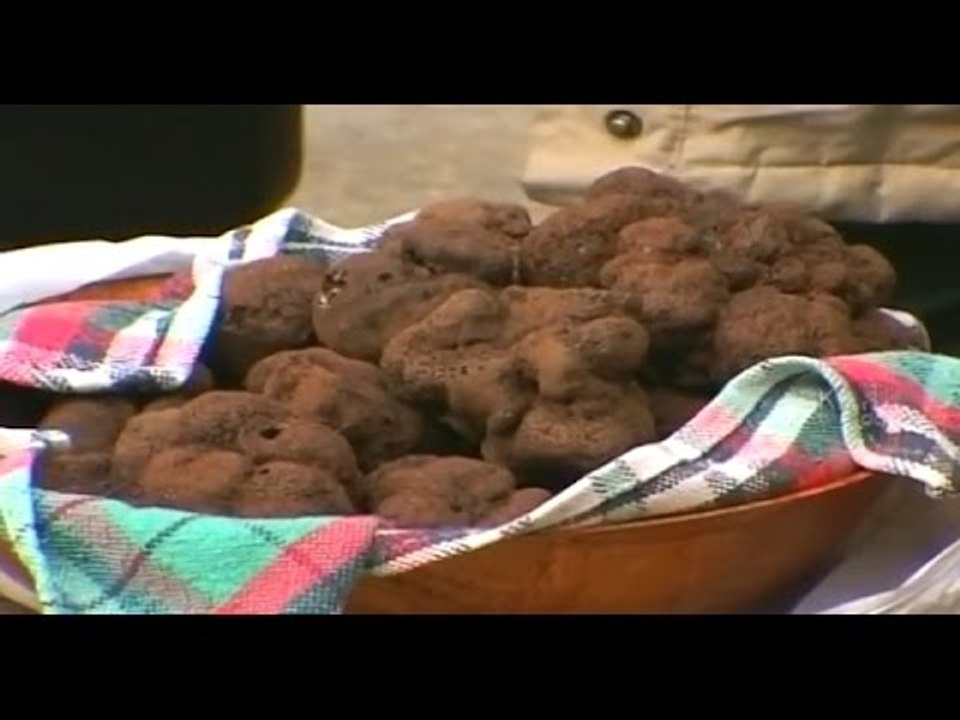 The Most Expensive Food In The World Truffles video Dailymotion