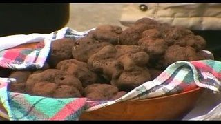 The Most Expensive Food In The World - Truffles