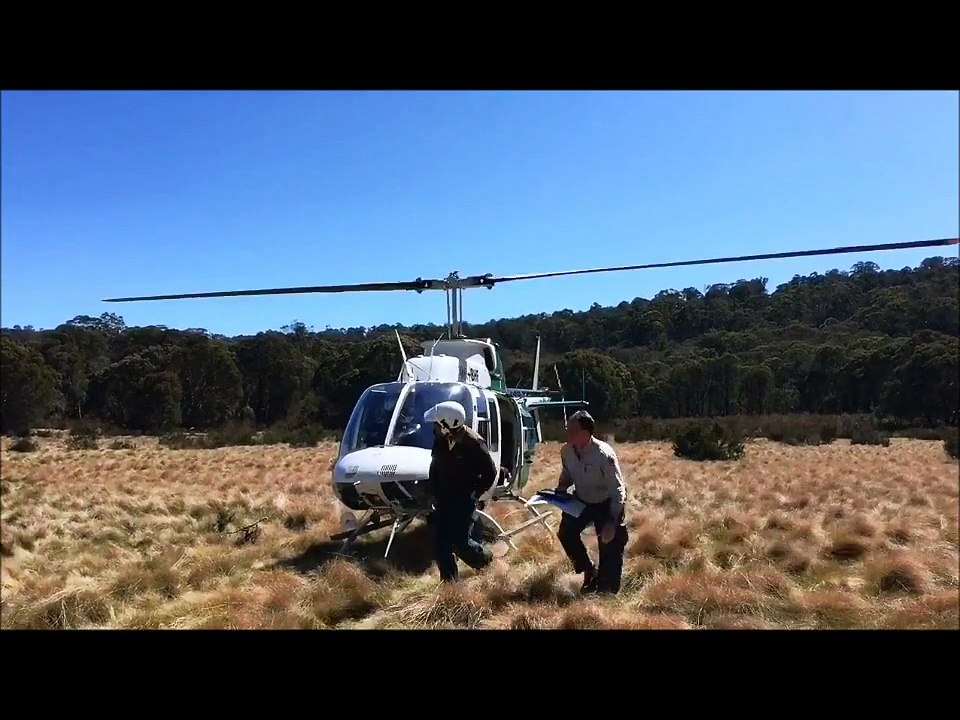 Howard Carpendale - Das Beste von mir - (Deluxe Edition)