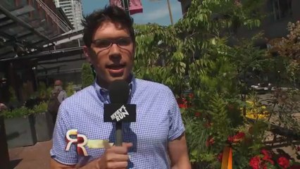 July 26 - Reviews on the Run - 4