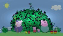 Peppa Pig - The Blackberry Bush (Clip)  Greatest Videos
