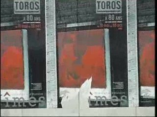 Torero Nîmes  Pink TV