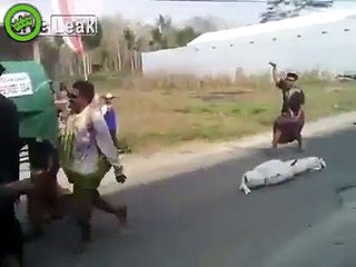 They lost the dead on the road