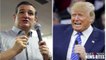 Donald Trump Questions Ted Cruz’s U.S. Citizenship for Presidential Eligibility