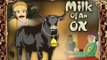 Akbar and Birbal - Milk of an OX - Tamil Animated Stories For Kids