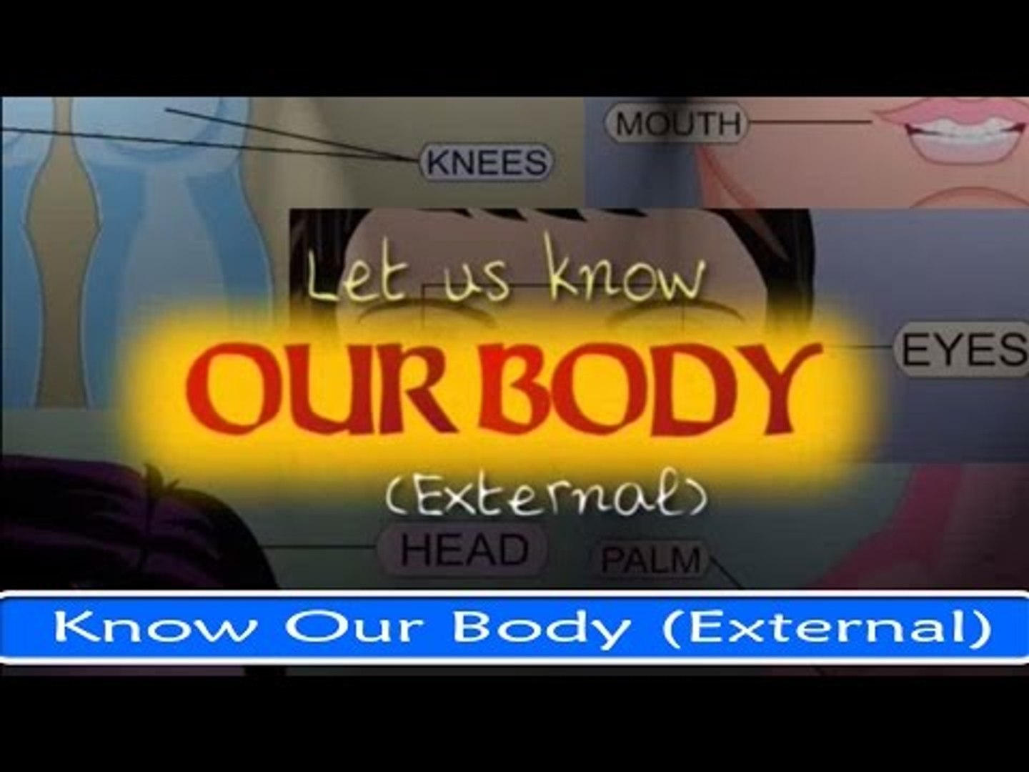 Let Us Know Our Body (External) - Fun And Learn Series in English