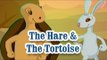 Hare and Tortoise - Moral Stories For Kids - Panchatantra English